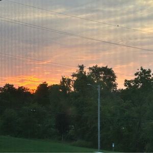 Meet your Posher, Mason